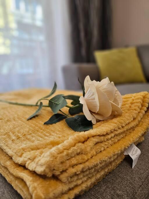 Serenity In The Heart Of Varna With Parking Exteriör bild